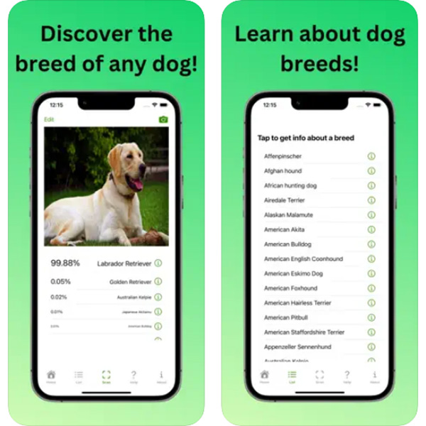 DoggyApp descobrir raças cachorro