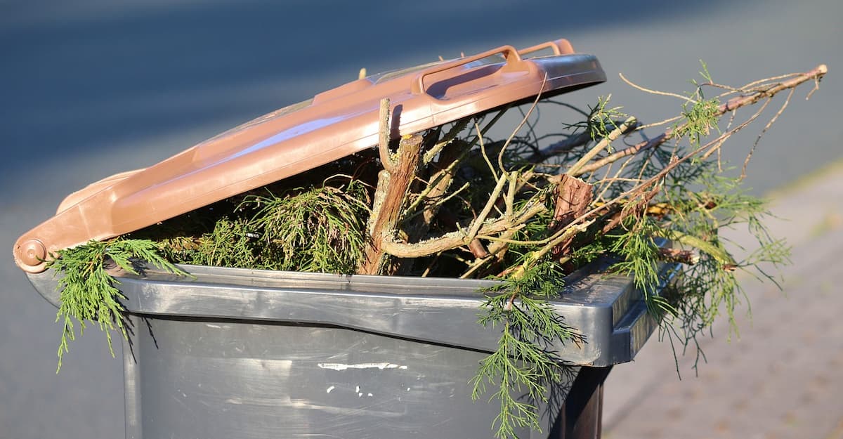 Aplicativos que te ajudam a reciclar corretamente