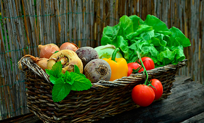 cultivar legumes e frutas 